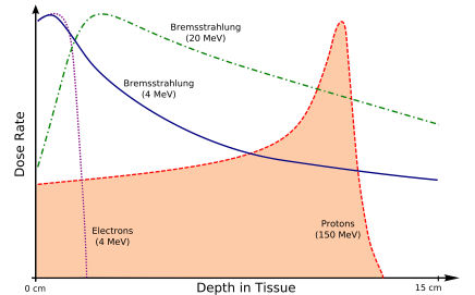 Particle Therapy